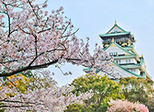 KOK体育平台：点燃热爱，智享博彩新纪元